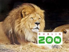 Dublin Zoo