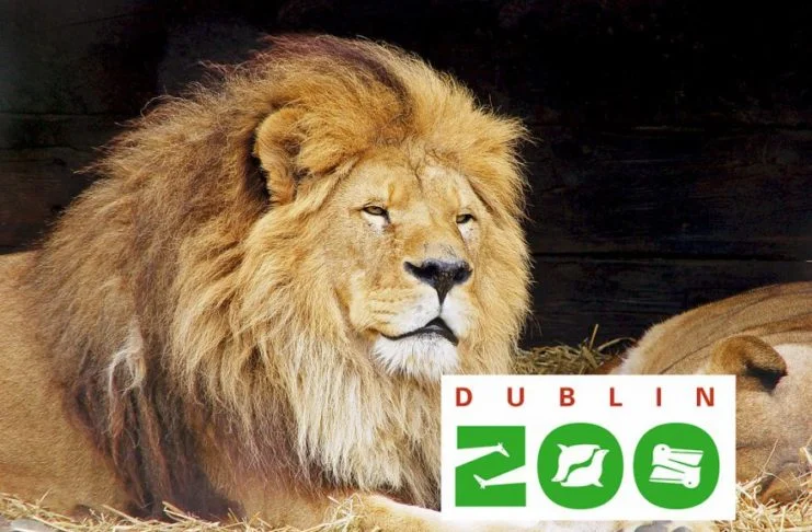 Dublin Zoo