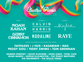 Electric Picnic, Stradbally, Ireland